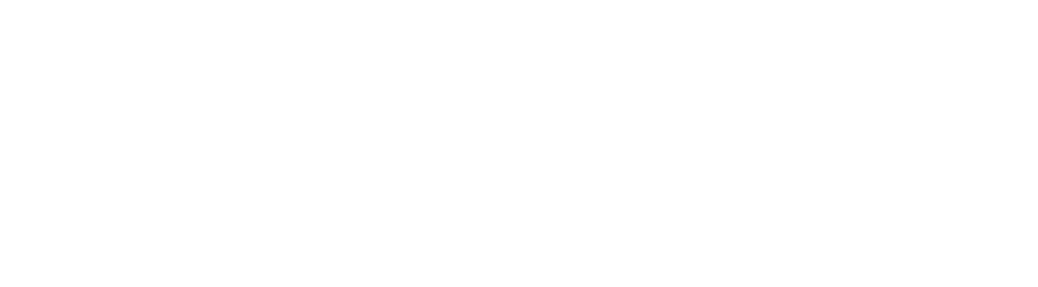 Connecticut Health Council