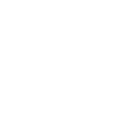 RISE Professionals